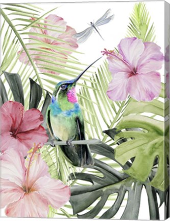 Framed Hibiscus &amp; Hummingbird II Print