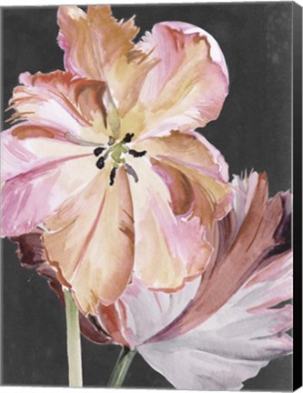 Framed Pastel Parrot Tulips II Print