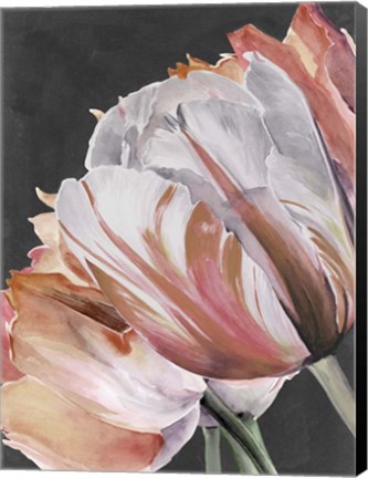 Framed Pastel Parrot Tulips III Print