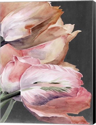 Framed Pastel Parrot Tulips IV Print