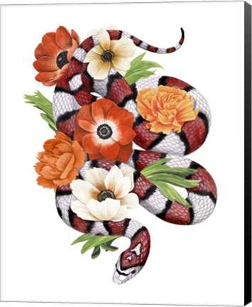 Framed King Snake II Print