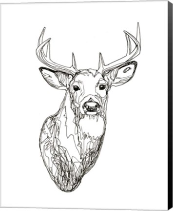 Framed Whitetail Wireframe I Print