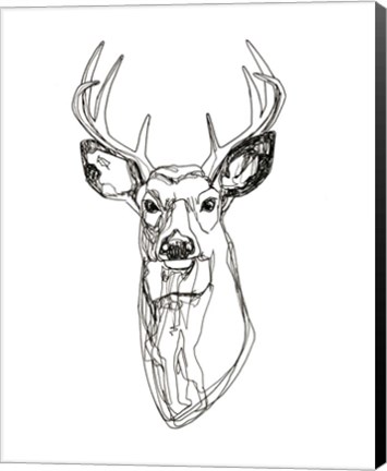 Framed Whitetail Wireframe II Print