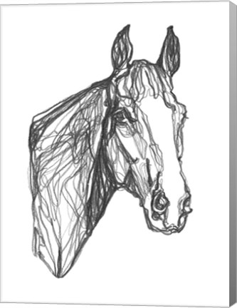 Framed Equine Contour I Print