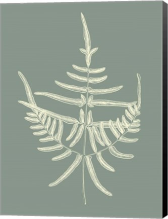 Framed Ferns on Sage I Print
