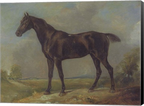 Framed Golding Constable&#39;s Black Riding-Horse Print