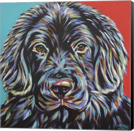 Framed Canine Buddy I Print