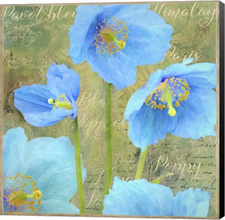 Framed Blue Poppies Print