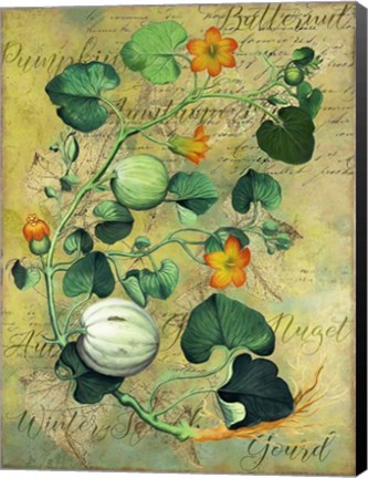 Framed Gourds Print