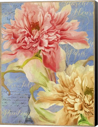 Framed Peonies Print