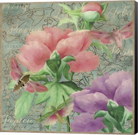 Framed Pink Peonies Print