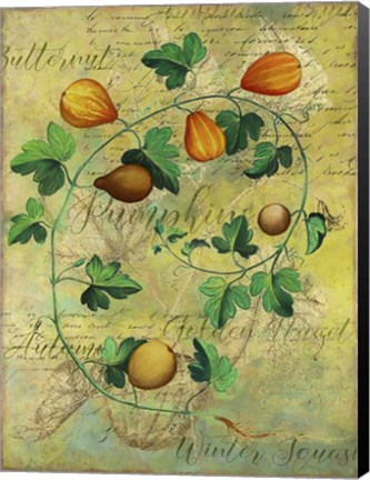 Framed Pumpkins Print