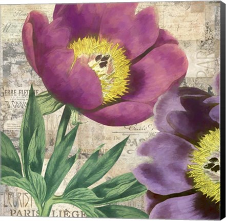 Framed Purple Peonies Print