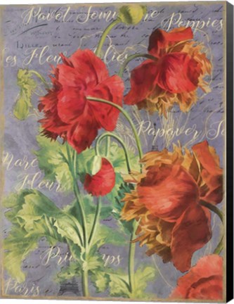 Framed Red Poppies Print