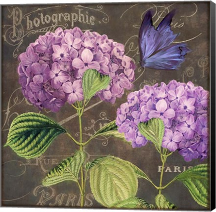Framed Purple Hydrangea Print