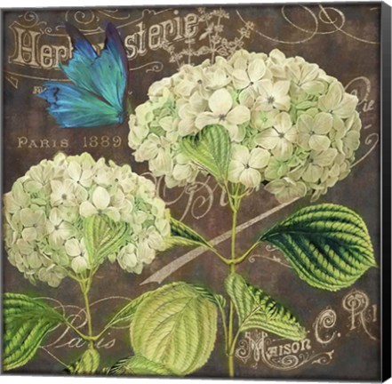 Framed White Hydrangea Print