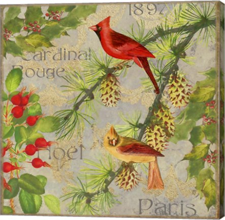 Framed Christmas Birds II Print