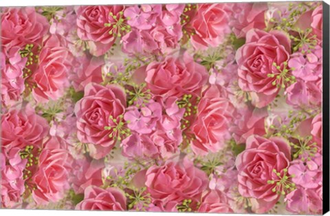 Framed Pink Roses and Hydrangea Print