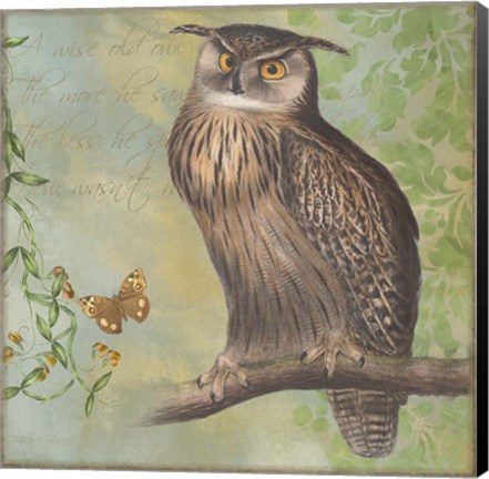 Framed Eagle-Owl Print