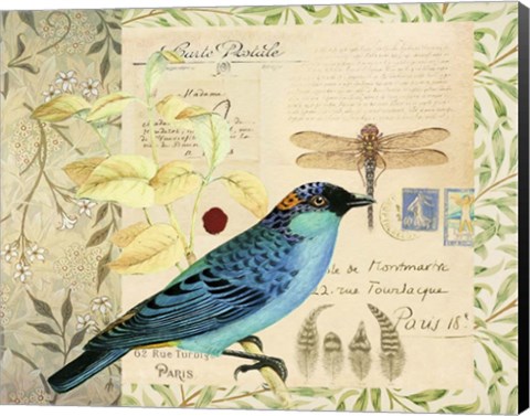 Framed Post Card Birds I Print