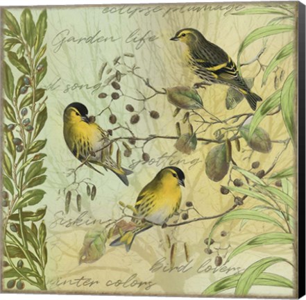 Framed Tree Birds I Siskins Print