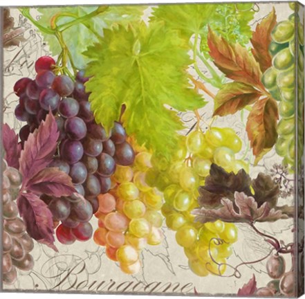Framed Vintage Fruits II Grapes Print