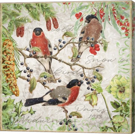 Framed Winter Birds Bullfinches Print