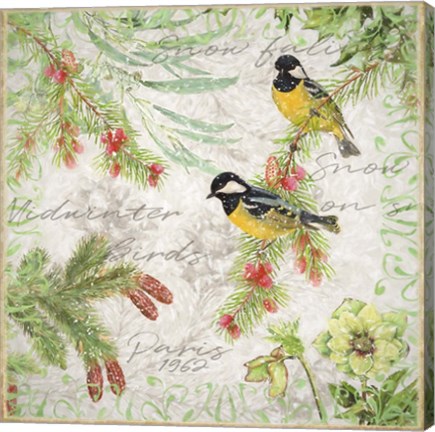 Framed Winter Birds Great Tits Print