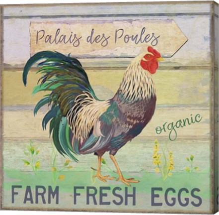 Framed Egg Farm Rooster Print