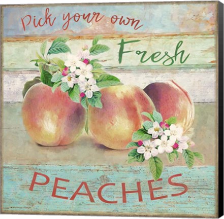 Framed Farmers Market Peaches Print