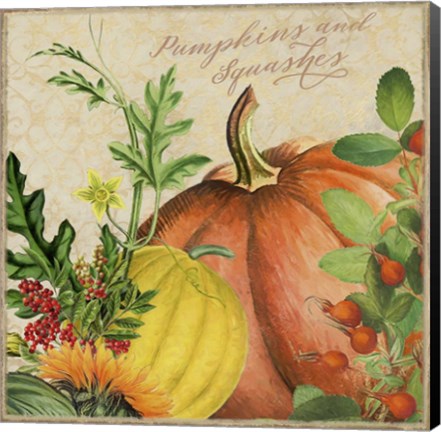 Framed Pumpkins and Squashes Print