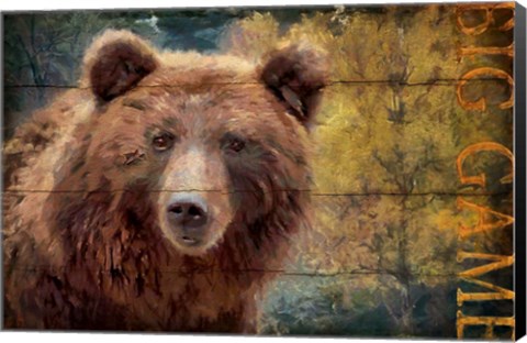 Framed Big Game Bear Print