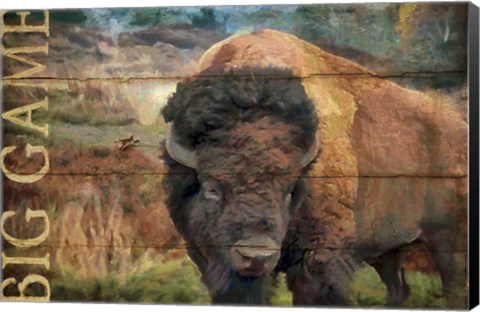 Framed Big Game Bison Print