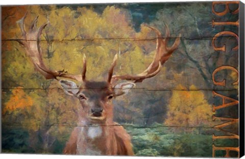 Framed Big Game Deer Print