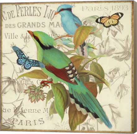 Framed Bird Couple III Print