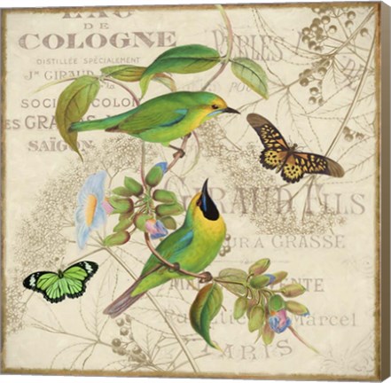 Framed Bird Couple IV Print