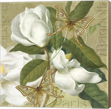 Framed Paris Magnolia's in Spring II Print