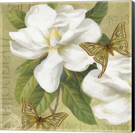 Framed Paris Magnolia's in Spring I Print