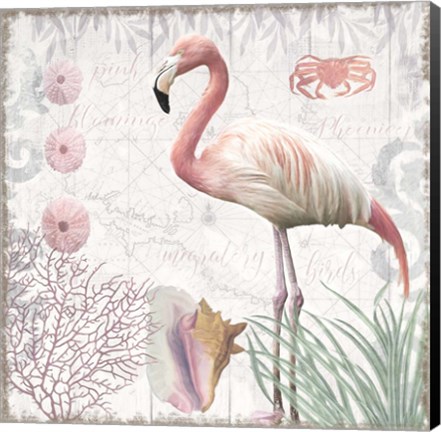 Framed Waders I Flamingo Print
