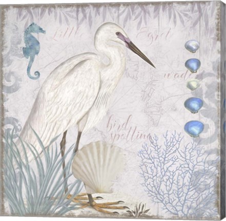 Framed Waders II Little Egret Print