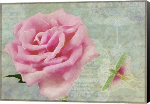 Framed Pink Rose With Grasshopper II Print