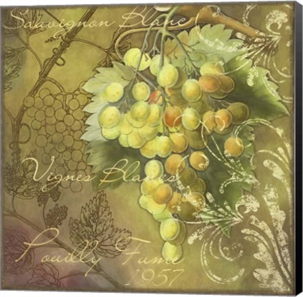 Framed Vignes Blancs Pouilly Fume Print