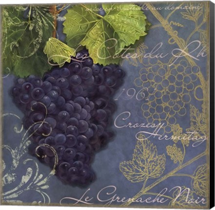 Framed Vignes Rouges Grenache Noir Print