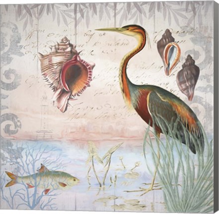 Framed Waterside Birds II Print