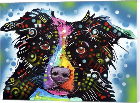 Framed Border Collie 3 Print