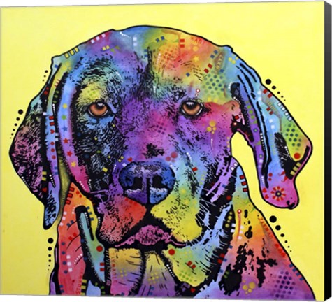 Framed Fixate Labrador Print