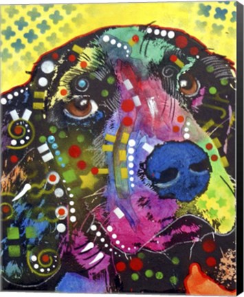 Framed Springer Print