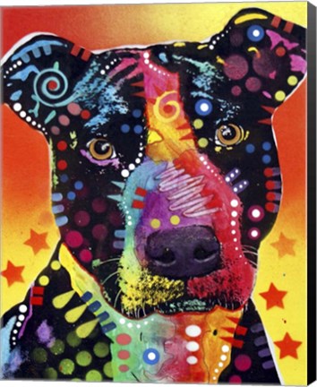 Framed Focused Pit Print