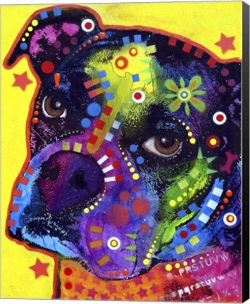 Framed Young Boxer Print