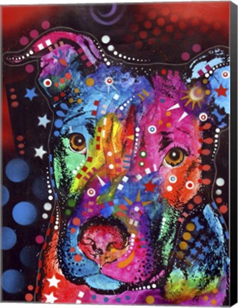 Framed Young Bull Print